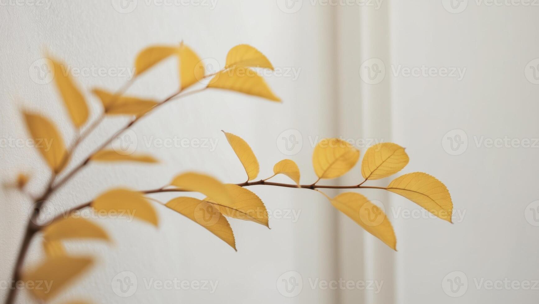 A yellow leaf is on a branch in front of a white wall photo