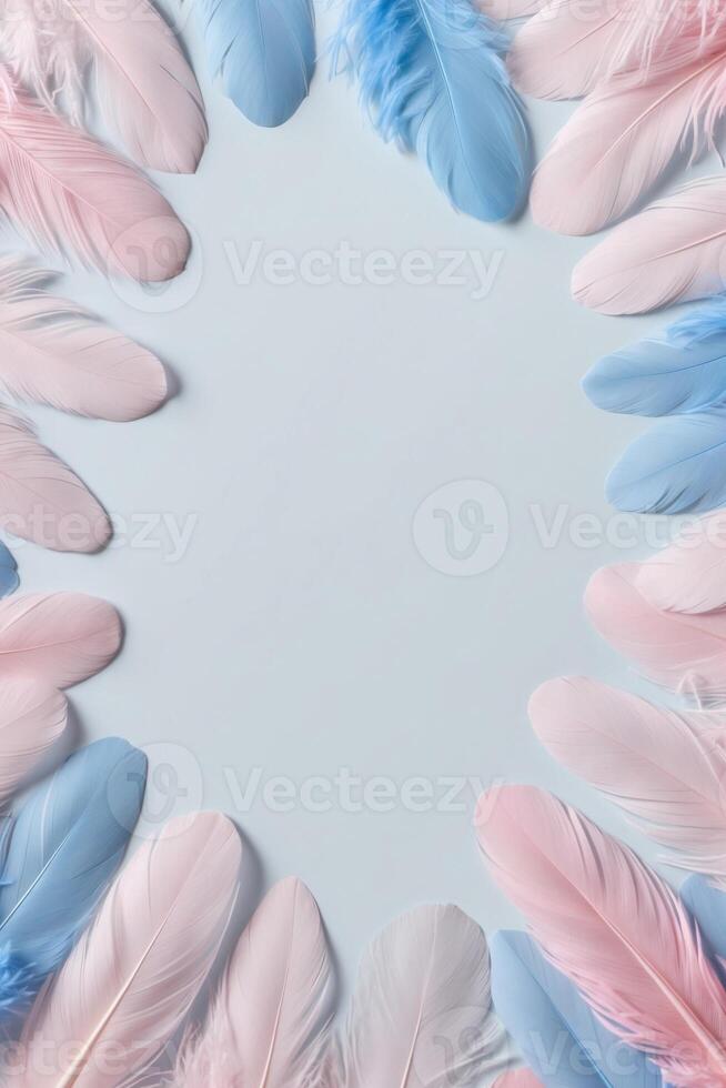 A circle of pink and blue feathers on a white background photo
