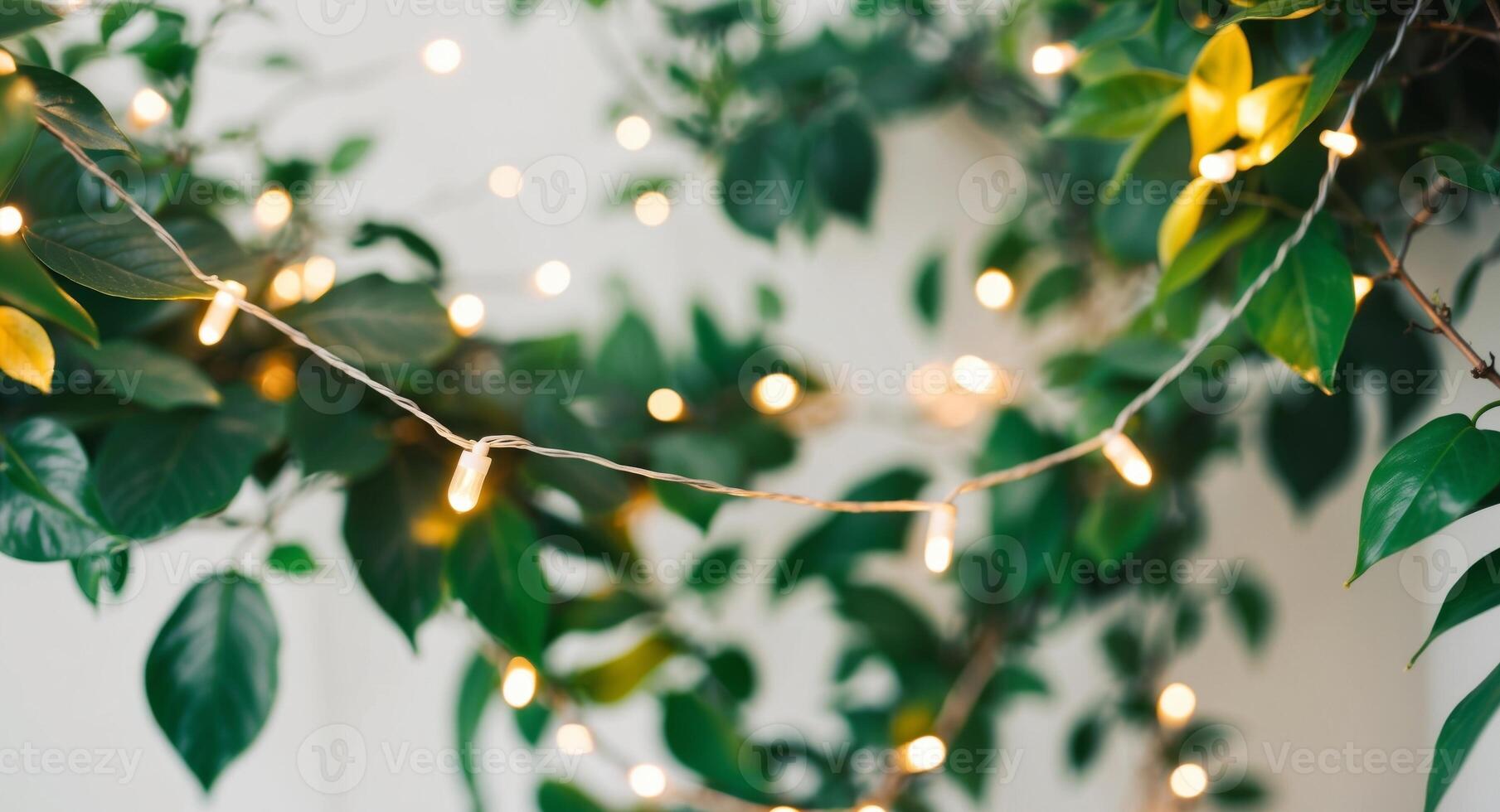 A close up of a plant with lights on it photo