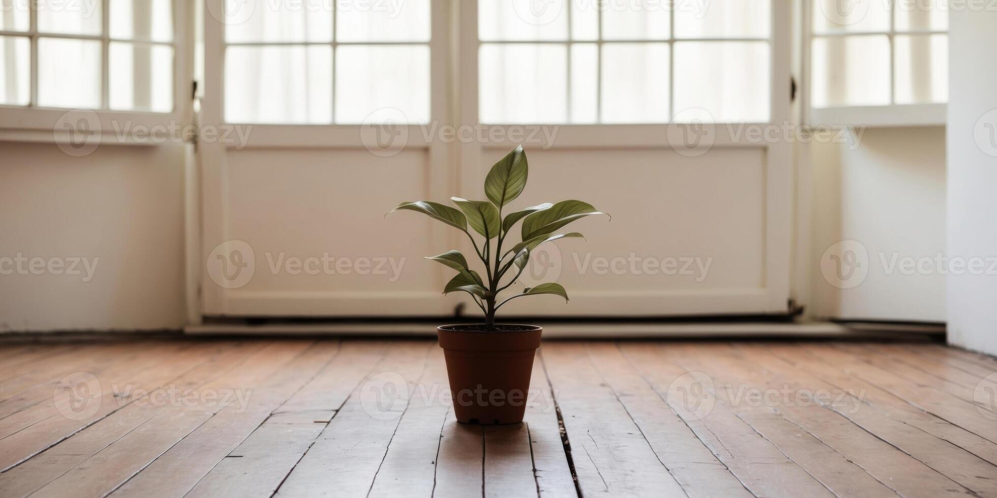 A potted plant sits on a wooden floor in front of a large window photo