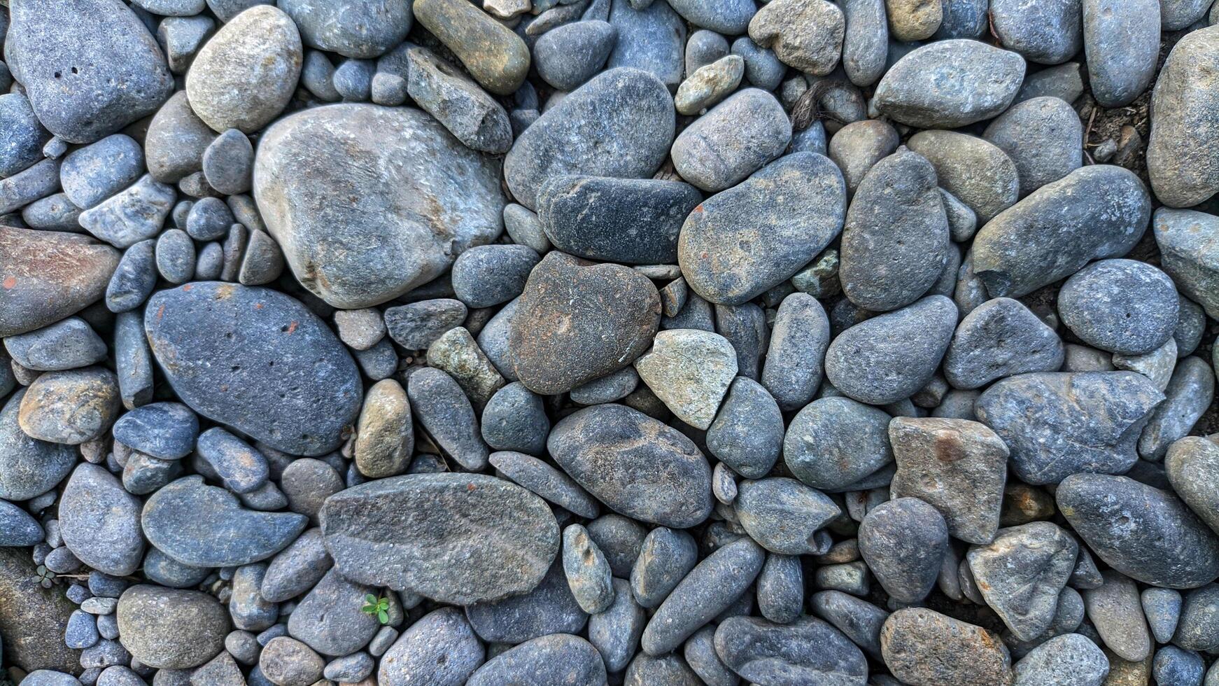 Gray crushed stone on soil texture background, Crushed stone close up, Crushed stone road construction gravel material texture. Selective Focus photo