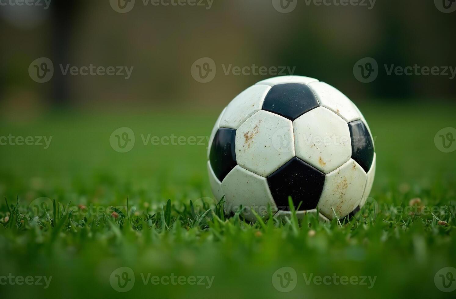 Soccer ball lying on green grass football field, close up photo