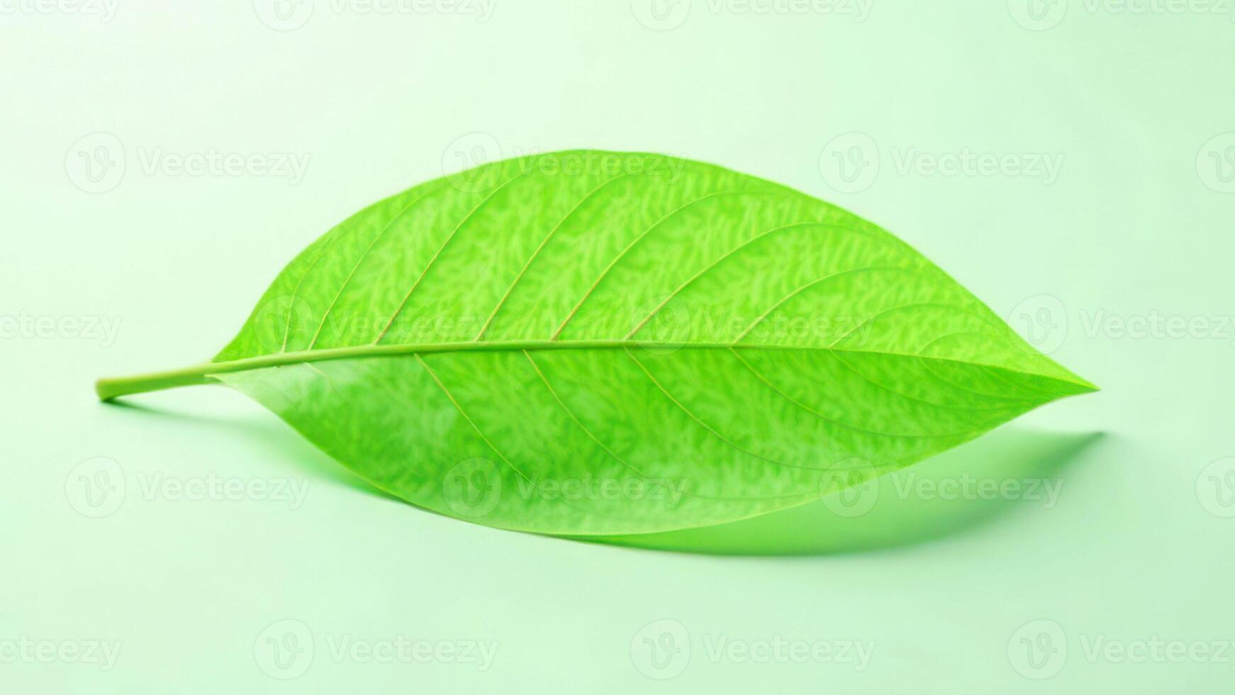 Vibrant green leaf close-up on light background highlighting texture and veins photo