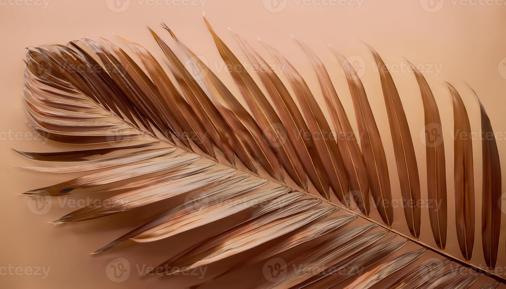 Dried palm leaf on beige background highlighting texture and lines photo