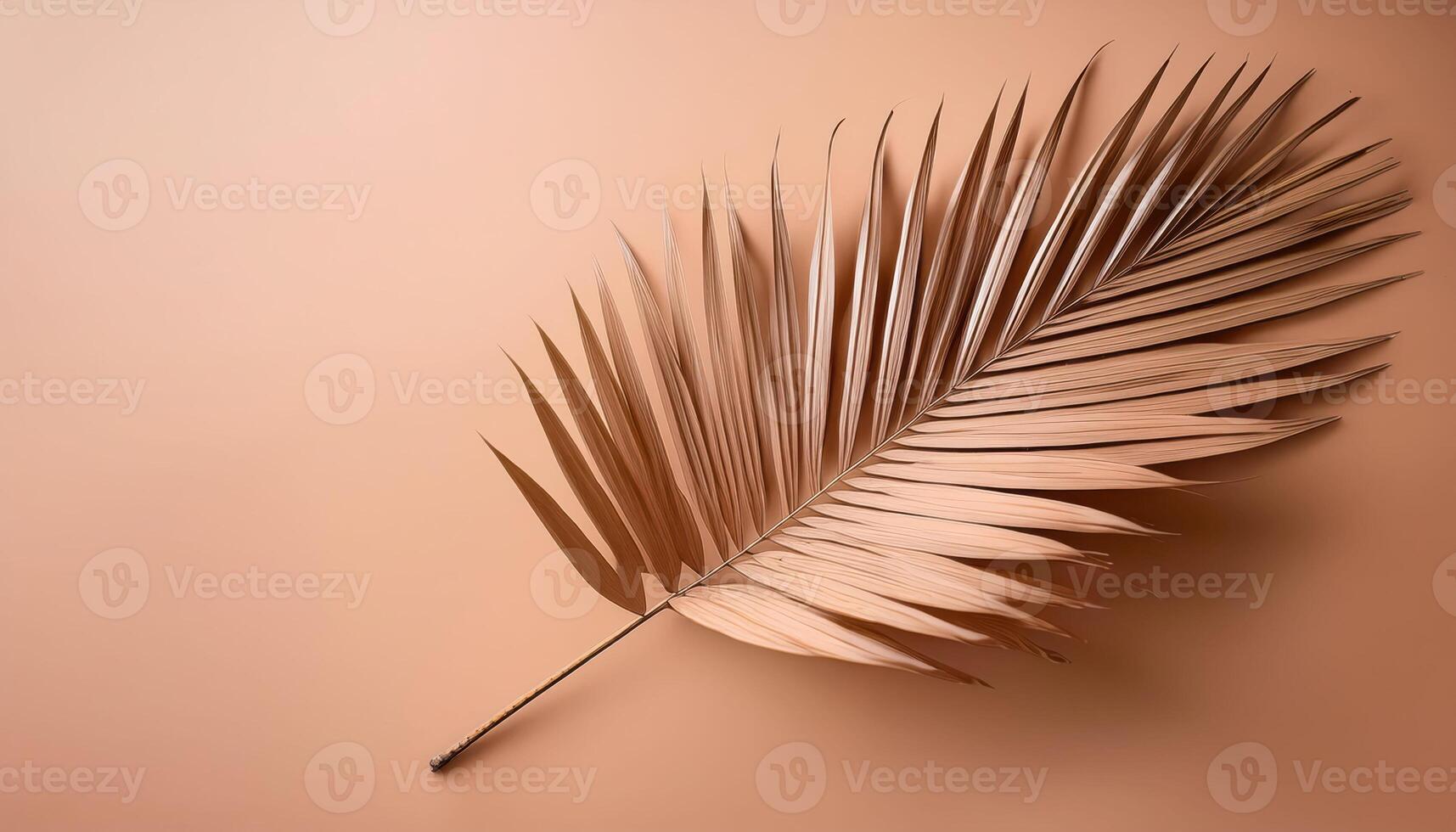Elegant brown palm leaf on a smooth beige background photo