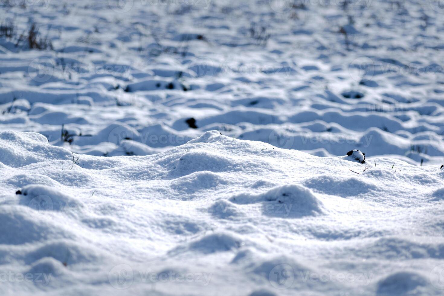 Fresh snow outdoors, country peaceful scene photo