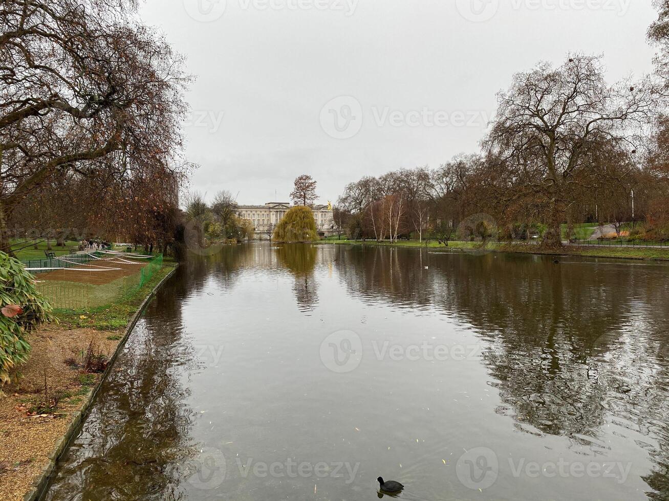A pond with a duck floating in it photo