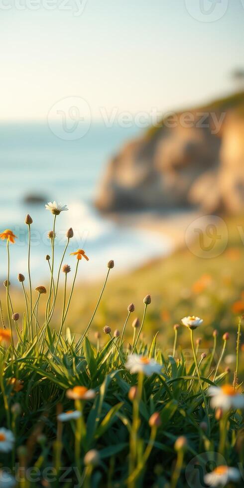 Flowers bloom near the coastline as sunlight illuminates the tranquil ocean waves in the late afternoon photo