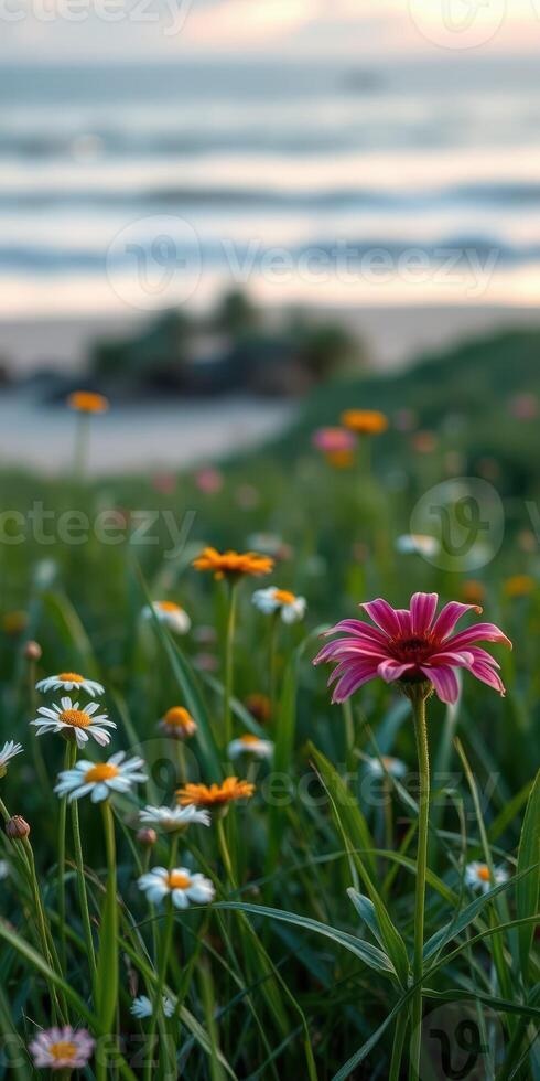 Vibrant wildflowers bloom on a sunny coastal meadow near a serene beach during sunset photo