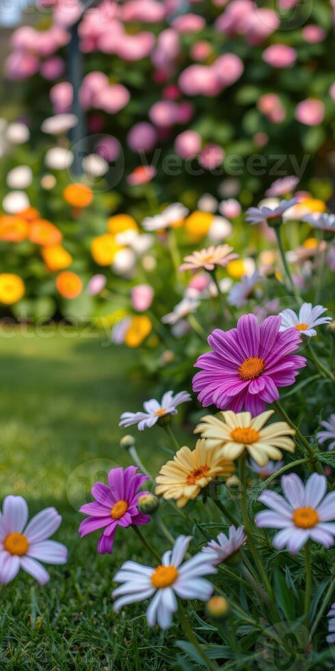 Colorful spring flowers bloom in a vibrant garden filled with daisies and various blossoms during a sunny afternoon photo