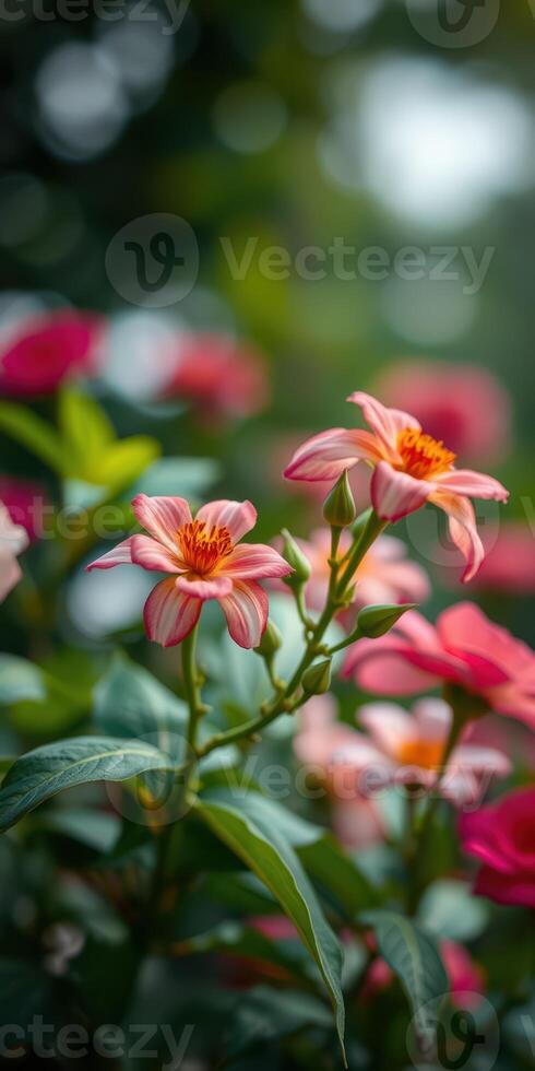 Vibrant flowers bloom in a lush garden during a sunny afternoon in late spring photo
