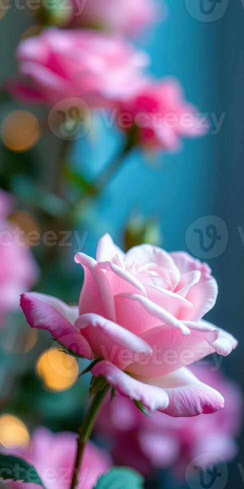 Beautiful pink rose blooming in a vibrant indoor garden setting with soft bokeh lights in the background photo