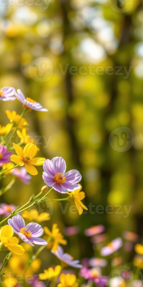 Vibrant wildflowers bloom amidst greenery in a sunlit natural setting during springtime photo