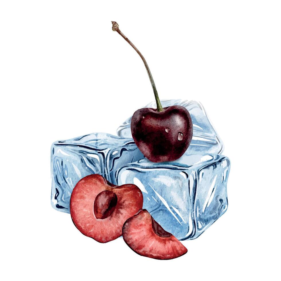 Sweet cherry in drops with slice cherry berry and stack frozen ice cubes. Isolated Hand drawn watercolor illustration. Summer composition for packaging of goods, menu, posters, cards vector
