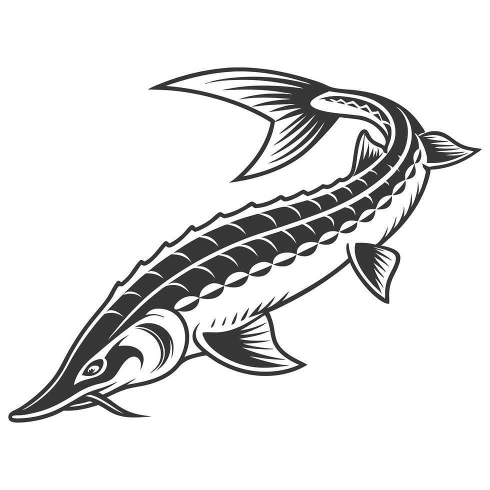 a sturgeon fish with a long tail and a long body vector