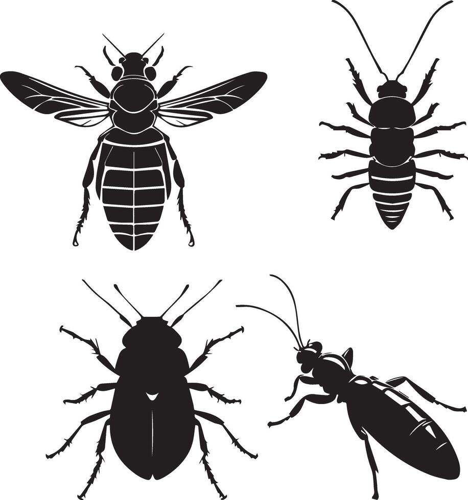 A set of four different insect silhouette image vector