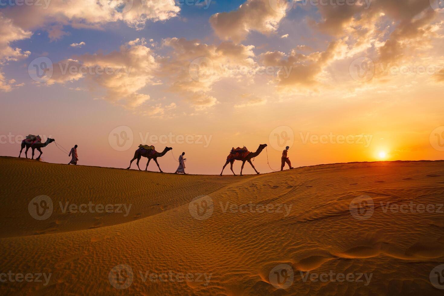 Indian cameleers camel drivers camel silhouettes in dunes on sunset. Jaisalmer, Rajasthan, India photo