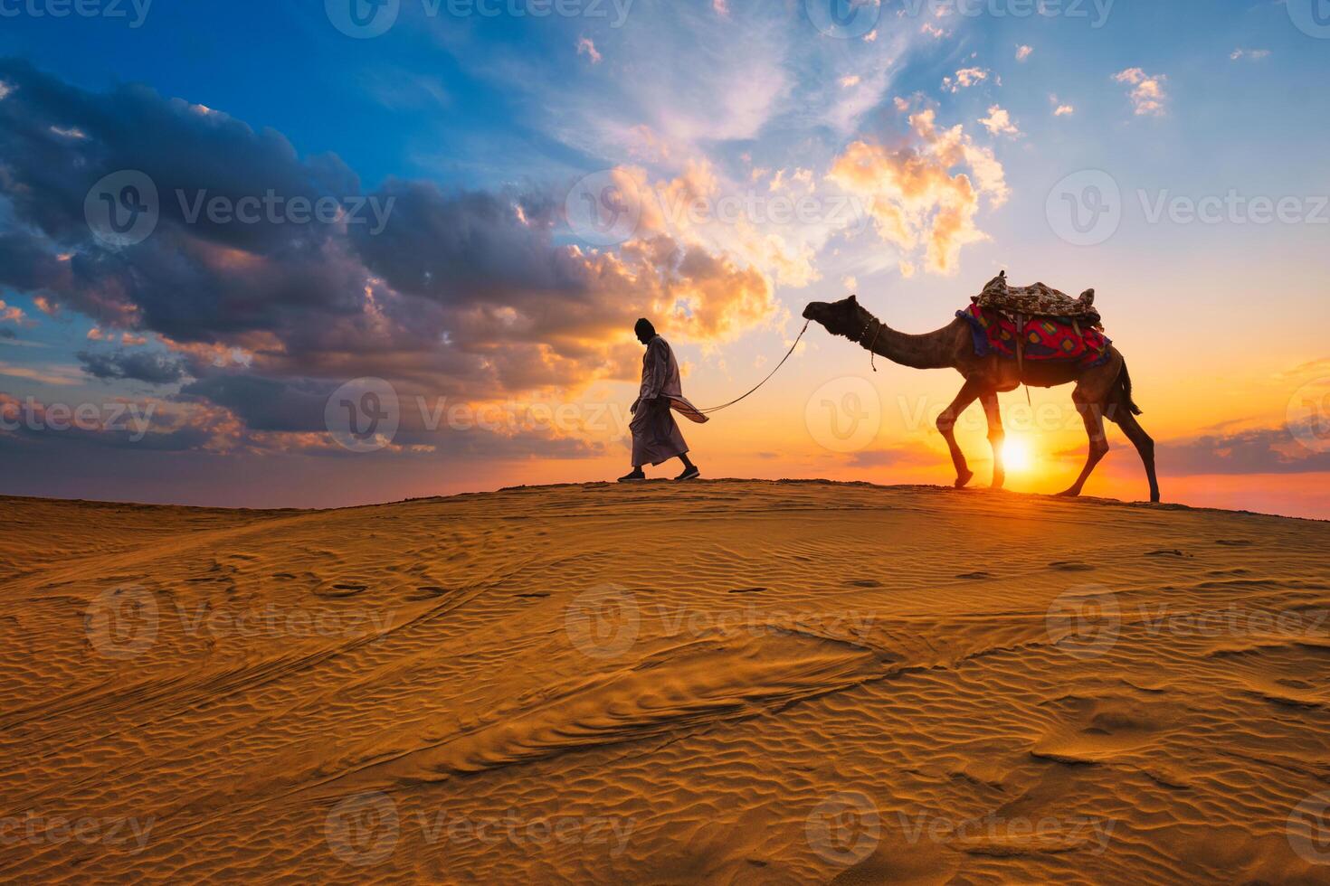 Indian cameleer camel driver camel silhouettes in dunes on sunset. Jaisalmer, Rajasthan, India photo