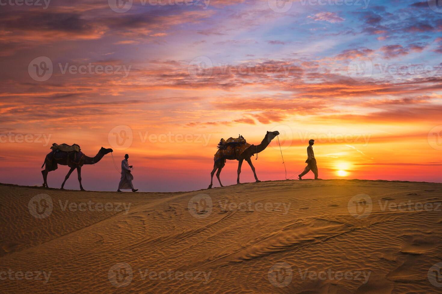 Indian cameleers camel drivers camel silhouettes in dunes on sunset. Jaisalmer, Rajasthan, India photo