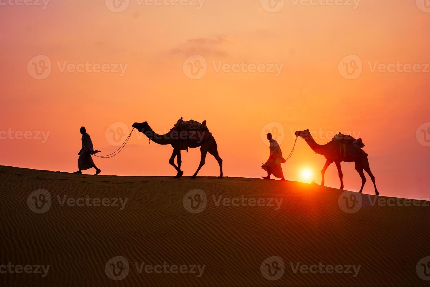 Indian cameleers camel drivers camel silhouettes in dunes on sunset. Jaisalmer, Rajasthan, India photo