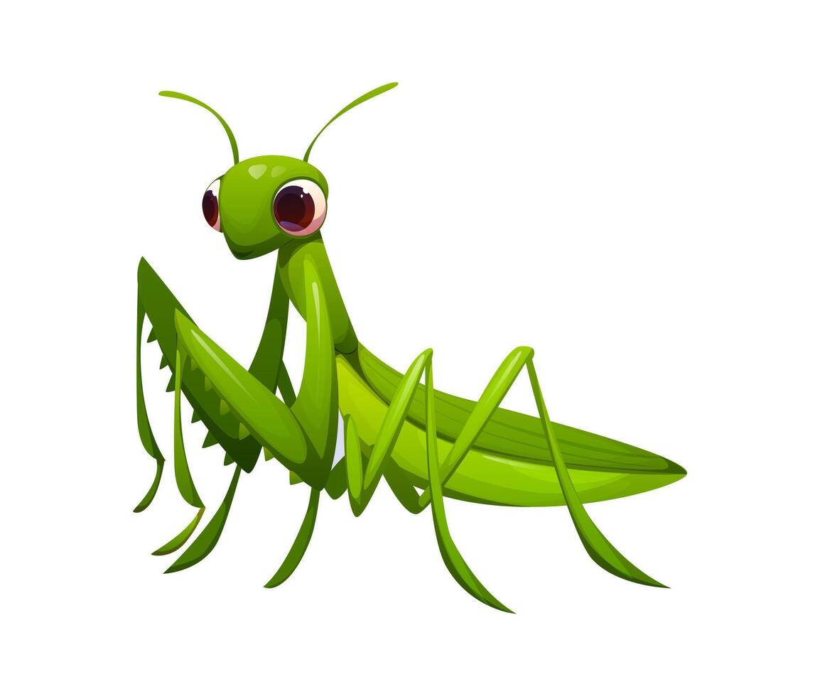 Cartoon funny mantis insect, praying mantid bug vector