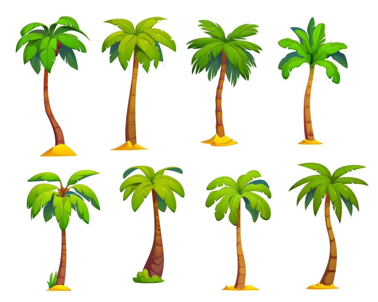 Cartoon jungle coconut and banana palm trees vector