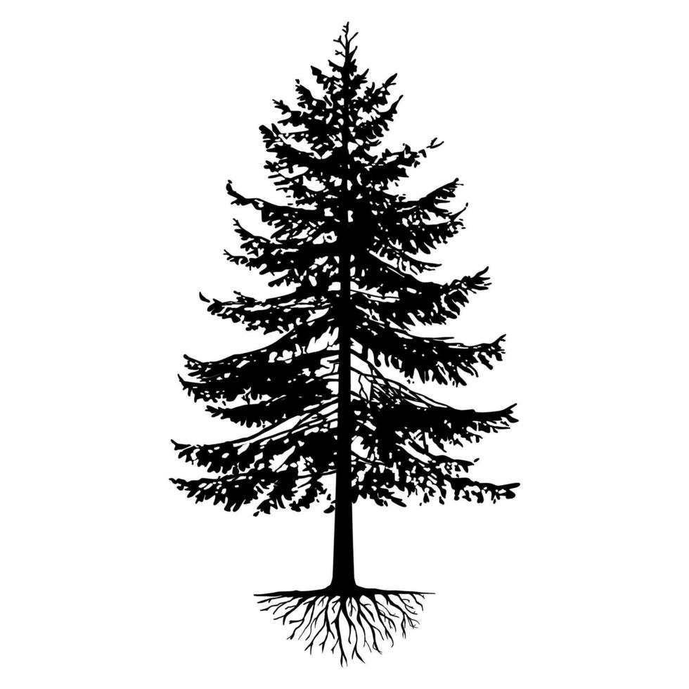 Black Trees and root with leaves look beautiful and refreshing. vector