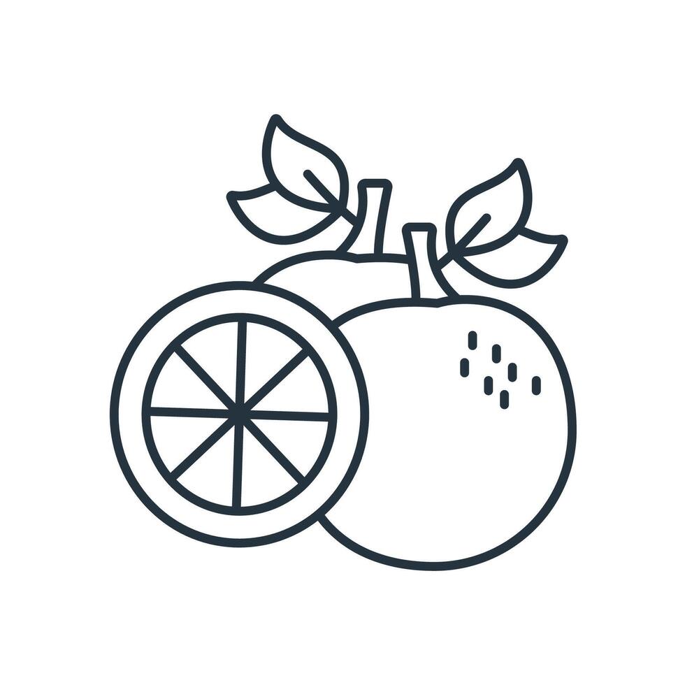 Grapefruit icons symbol elements for infographic web vector