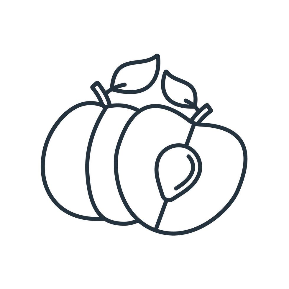 Apricot icons symbol elements for infographic web vector
