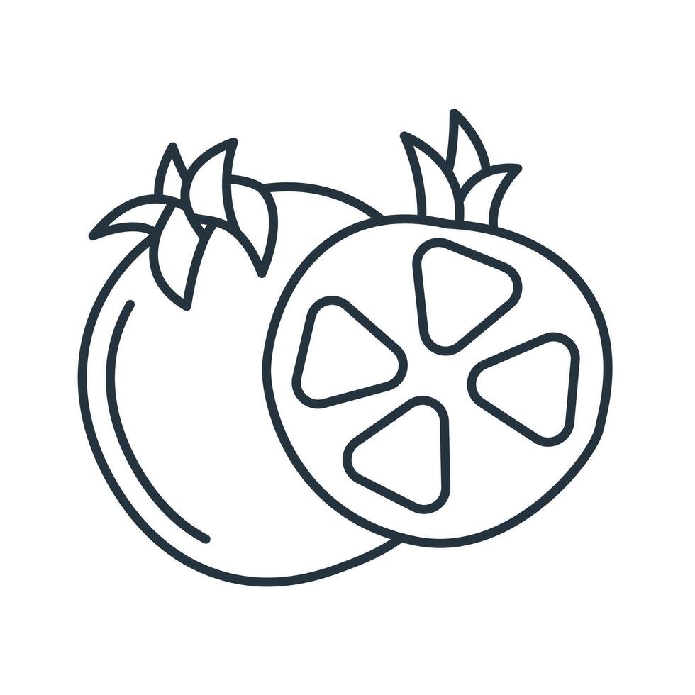 Pomegranate icons symbol elements for infographic web vector
