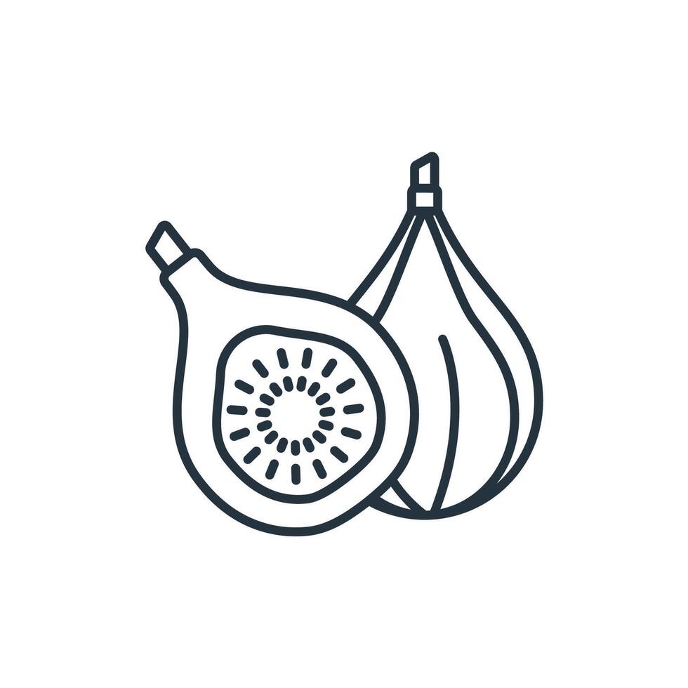 Fig icons symbol elements for infographic web vector