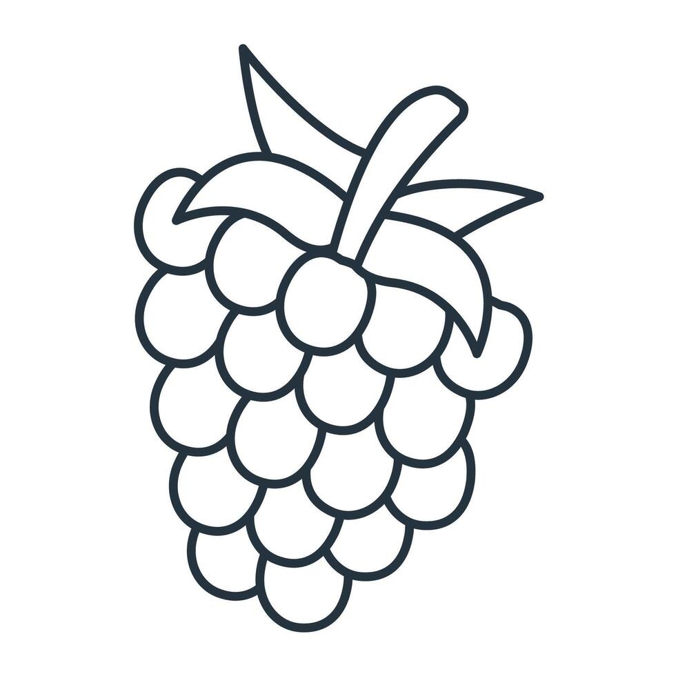 raspberry icons symbol elements for infographic web vector