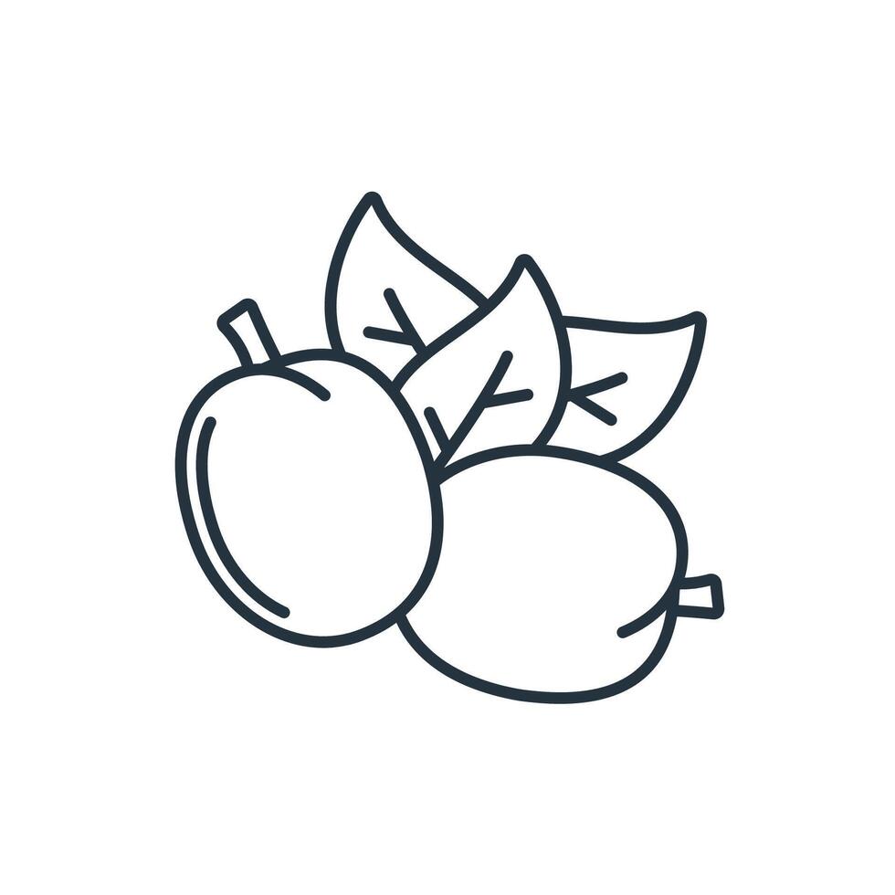 passion fruit icons symbol elements for infographic web vector