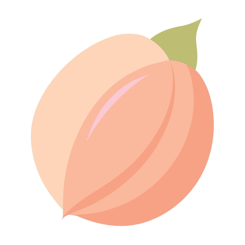 Single Peach Blossom Petal - Flat Illustration vector