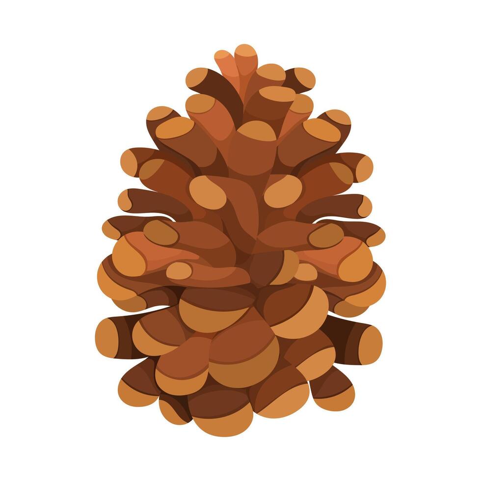 Brown pine cone illustration, cartoon design vector