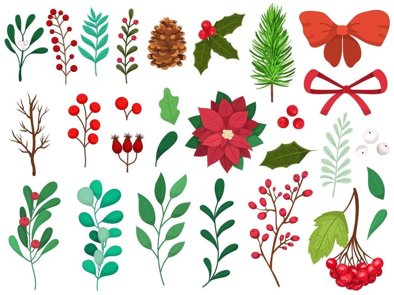 Set of different winter plants. Collection of berries, branches, illustration of poinsettia flower, cones and others. vector