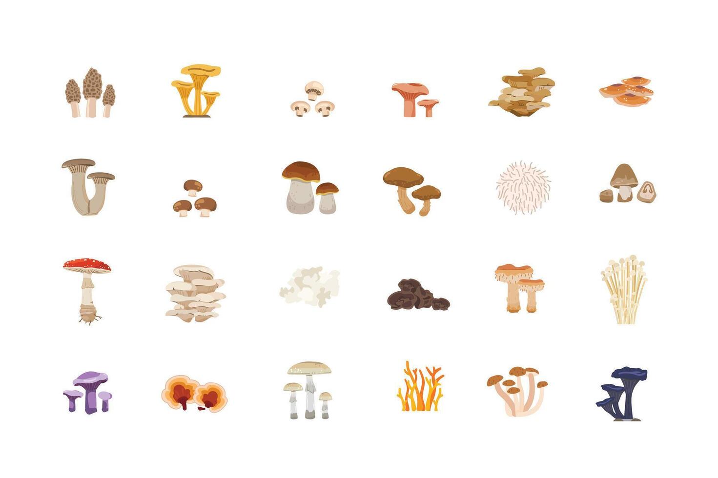 Illustration set of various types of mushrooms, suitable for vegetable shops and gardens, both for posters and web icons. vector
