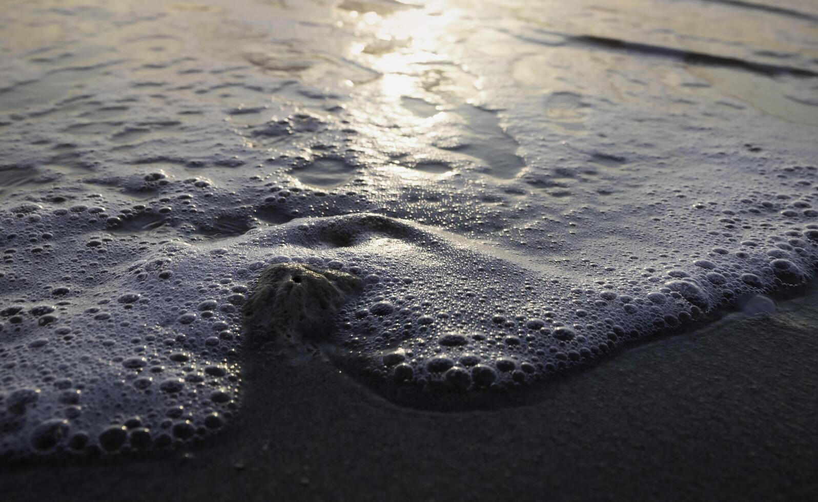 Closeup white bubble sea wave moving ,blurred Sea beach in morning time,reflection of sunrise shining around, photo