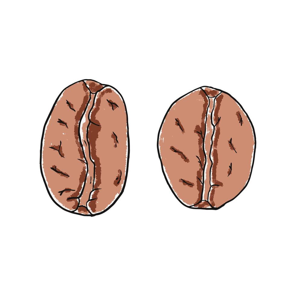 image of coffee beans vector