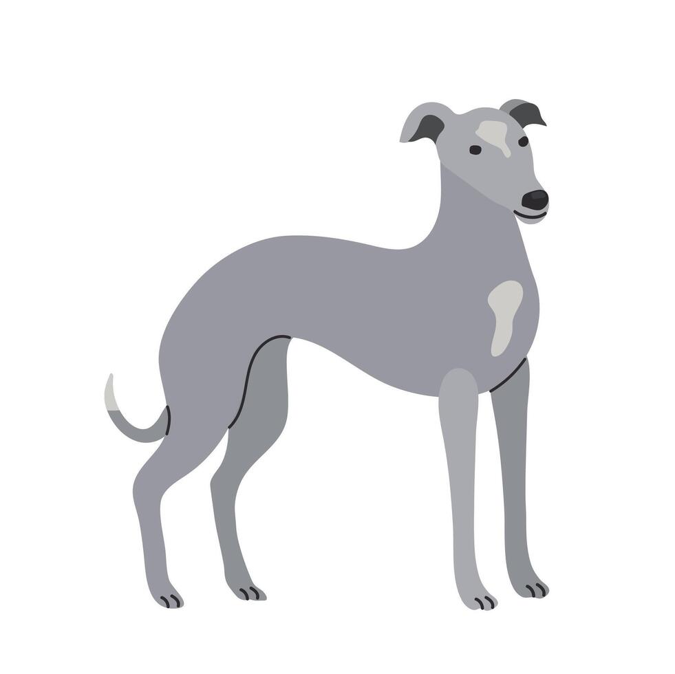 Greyhound icon clipart avatar logotype isolated illustration vector