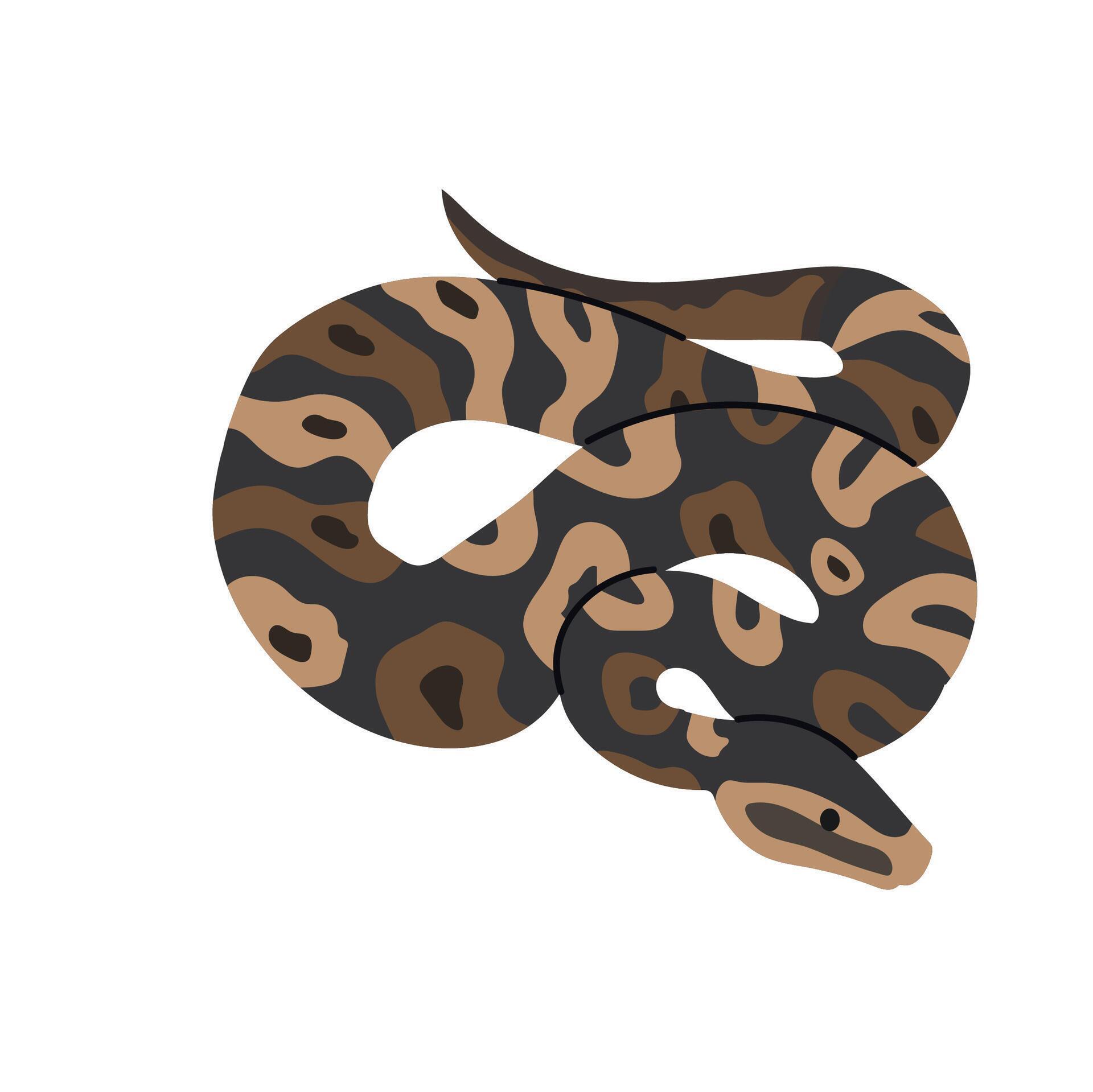 Ball python icon clipart avatar logotype isolated illustration 53638209 ...