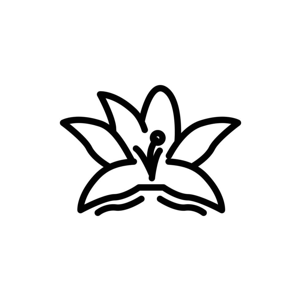 lily flower icon line style vector