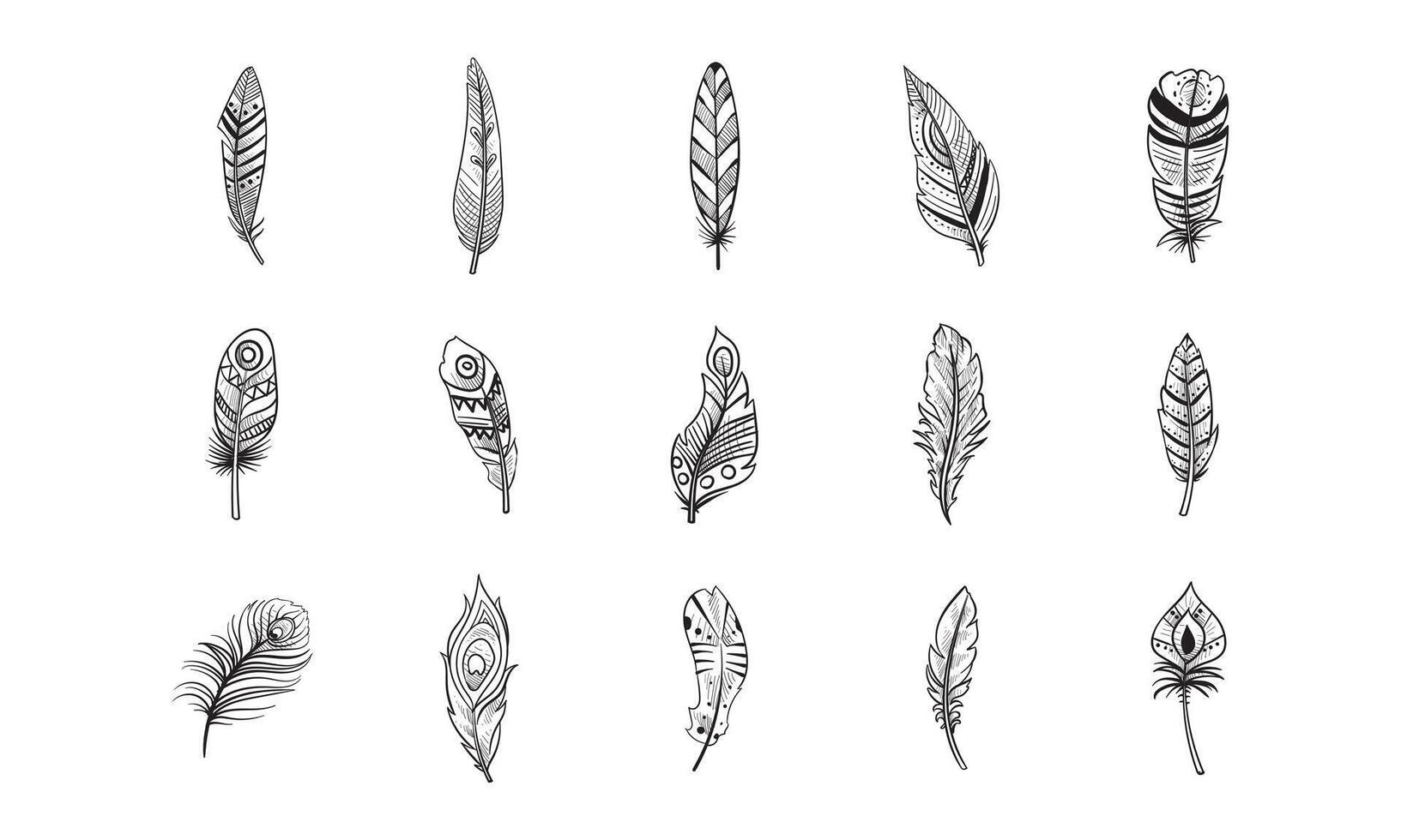 feathers handdrawn collection vector