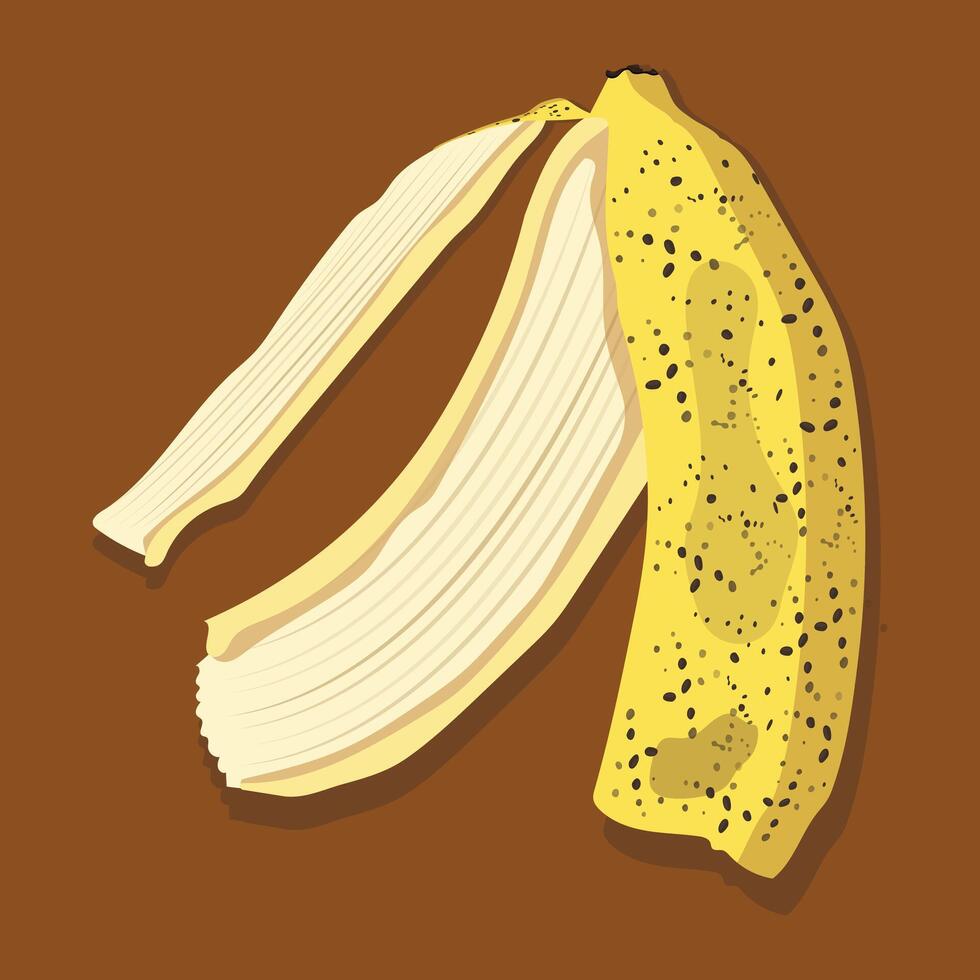 Rotten Banana Peel vector