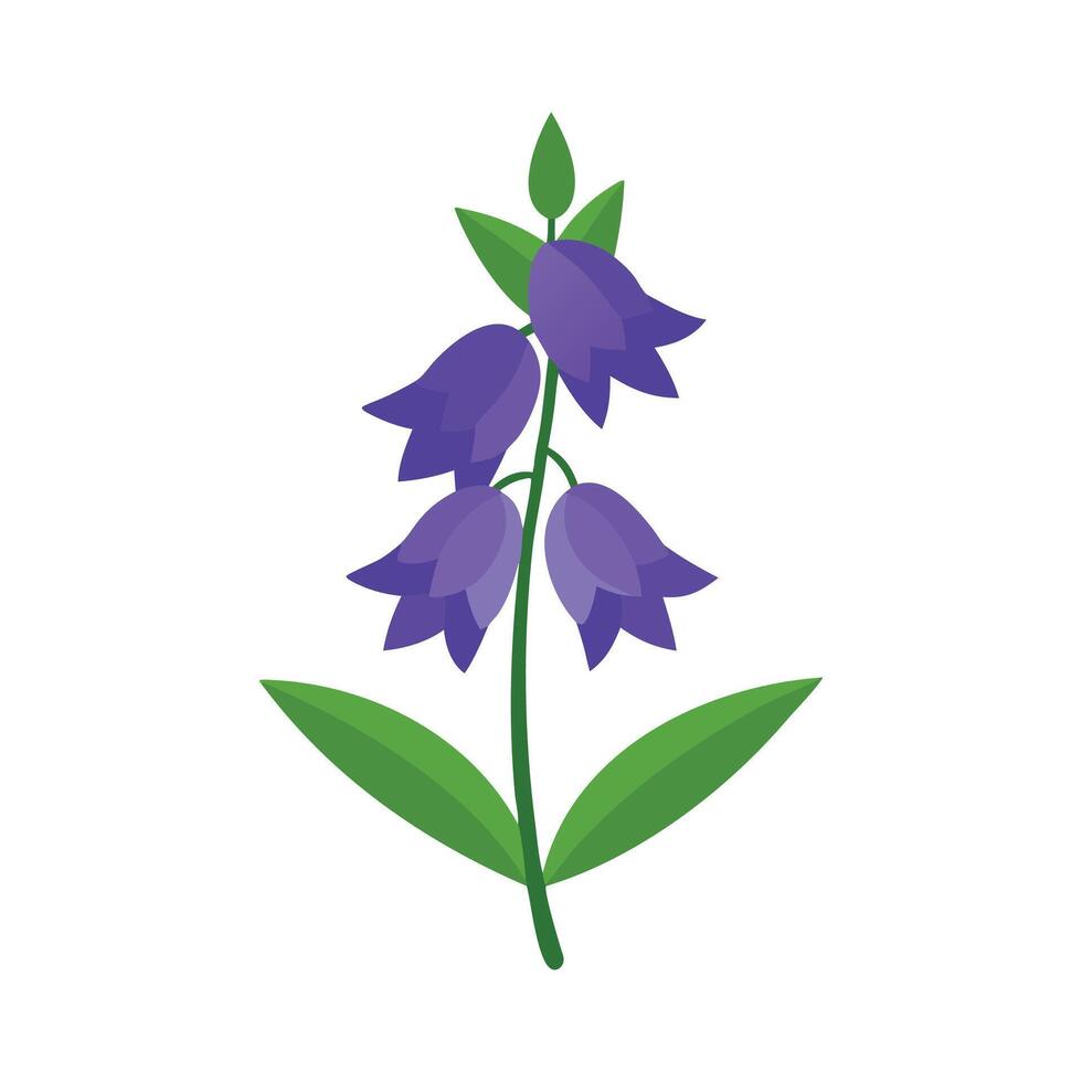 Delphinium flower isolated flat illustration on white background. vector