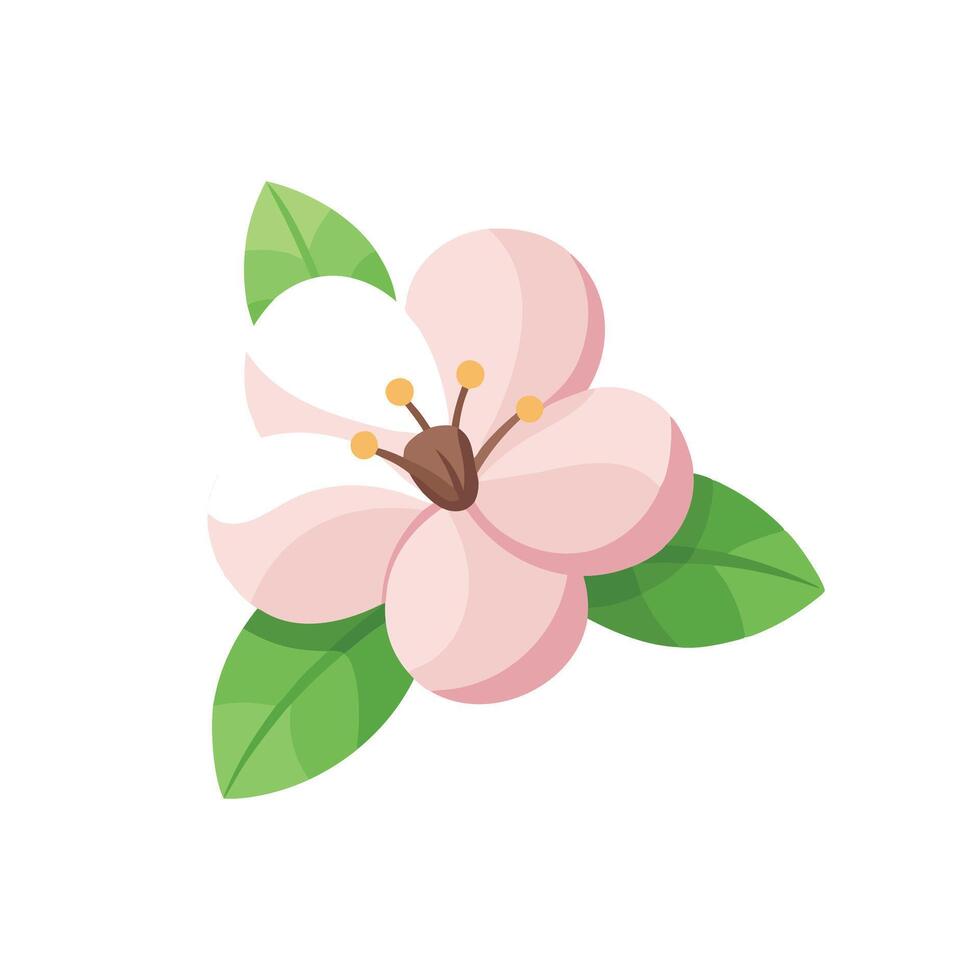 Apple Blossom flower isolated flat illustration on white background vector