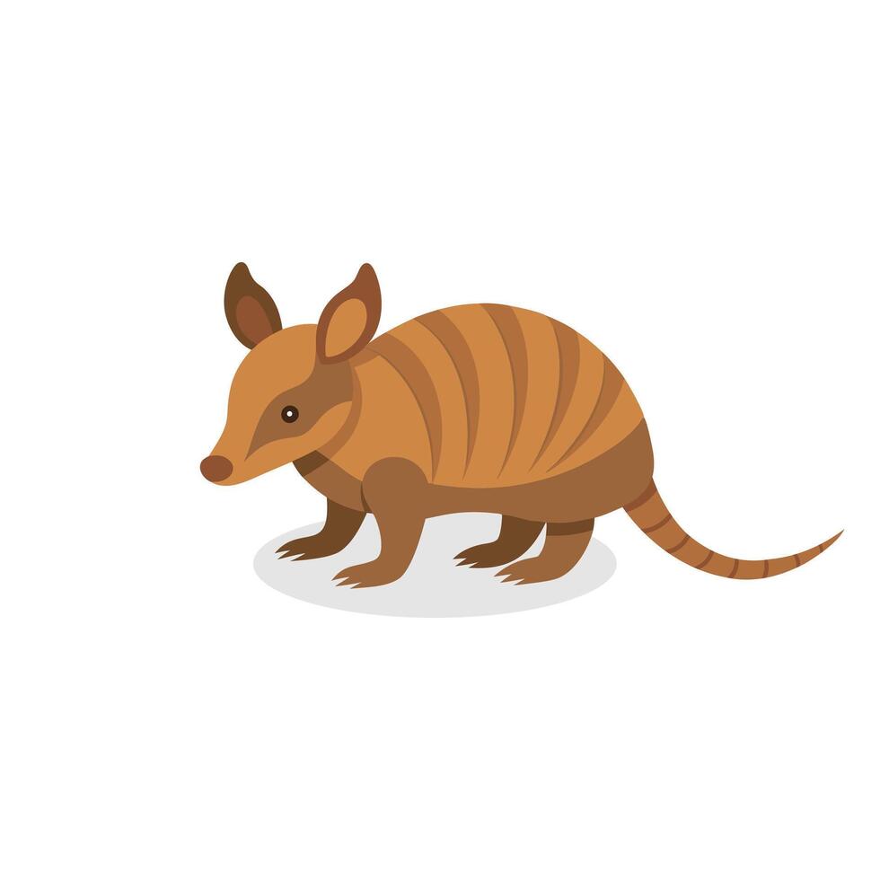 Armadillo isolated flat illustration on white background. vector