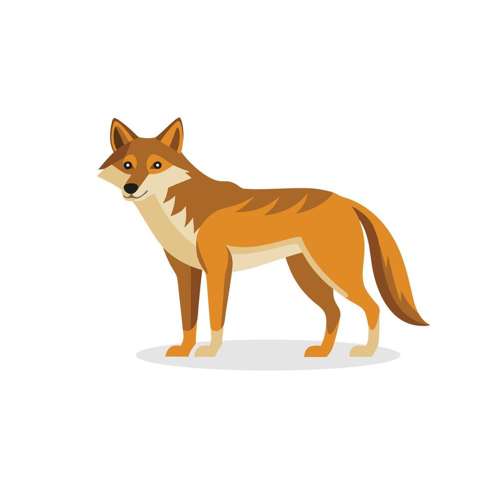 Coyote isolated flat illustration on white background vector