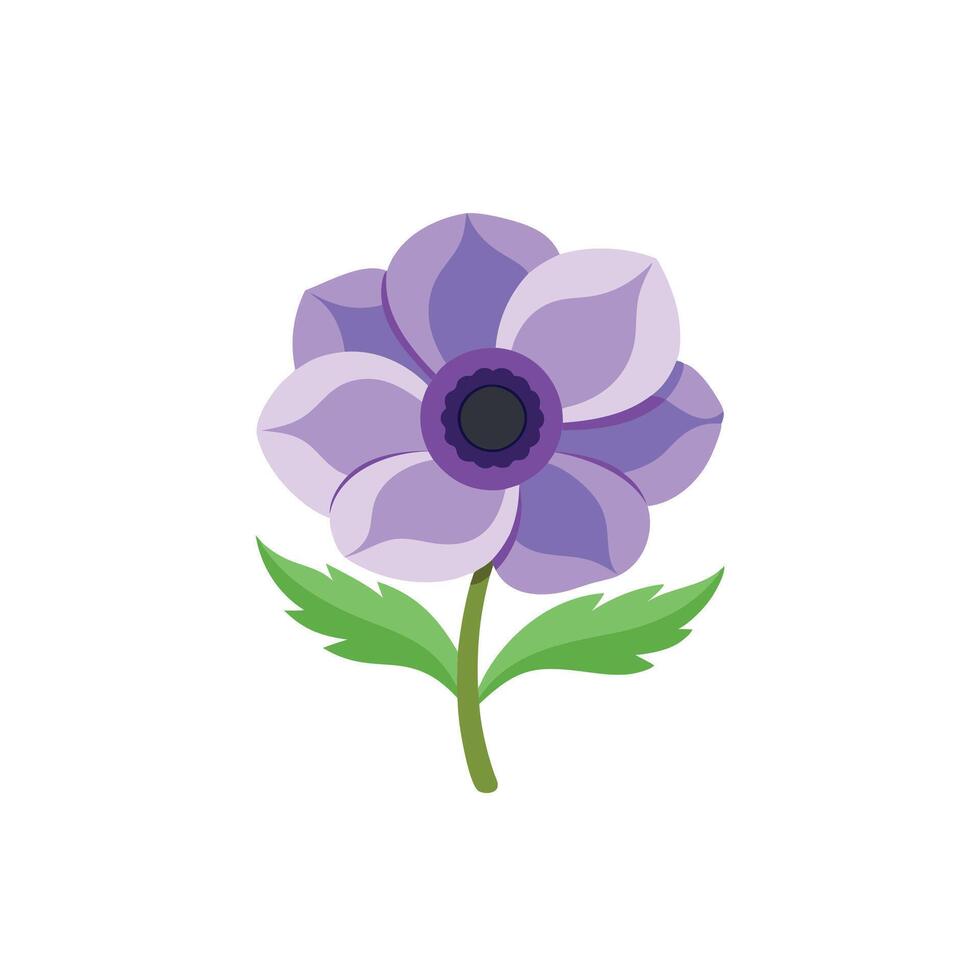 Anemone flower isolated flat illustration on white background vector