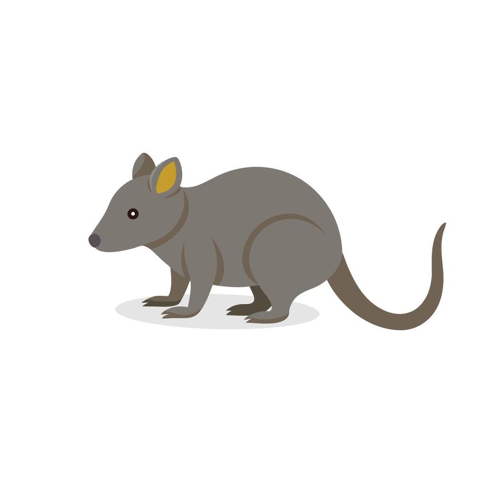 Shrew isolated flat illustration on white background. vector